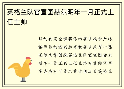 英格兰队官宣图赫尔明年一月正式上任主帅